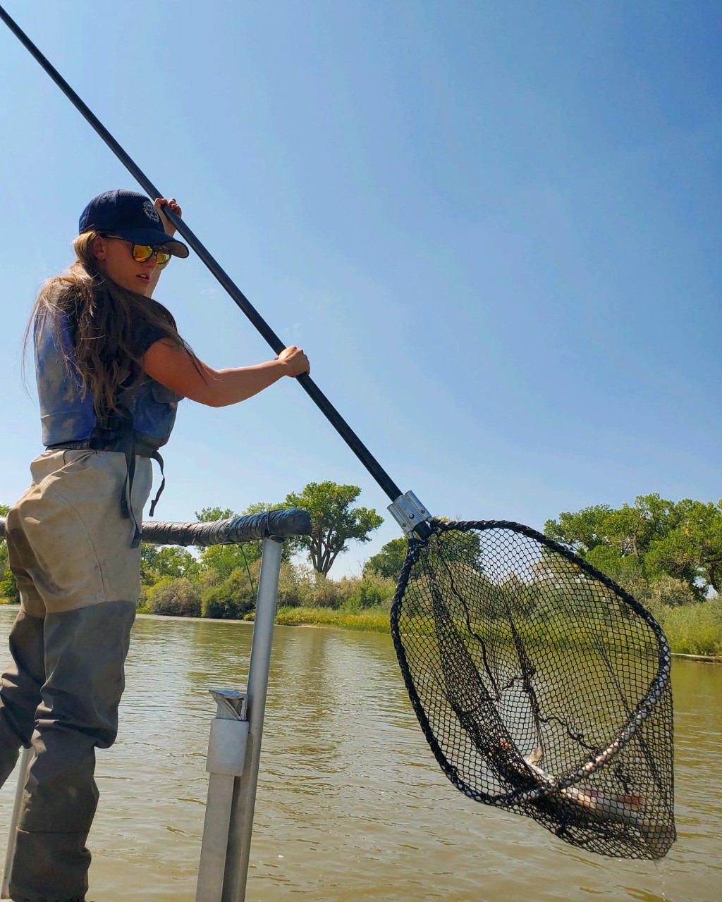 A young woman in gray waders dips a large net into a stream with a clear blue sky above her.