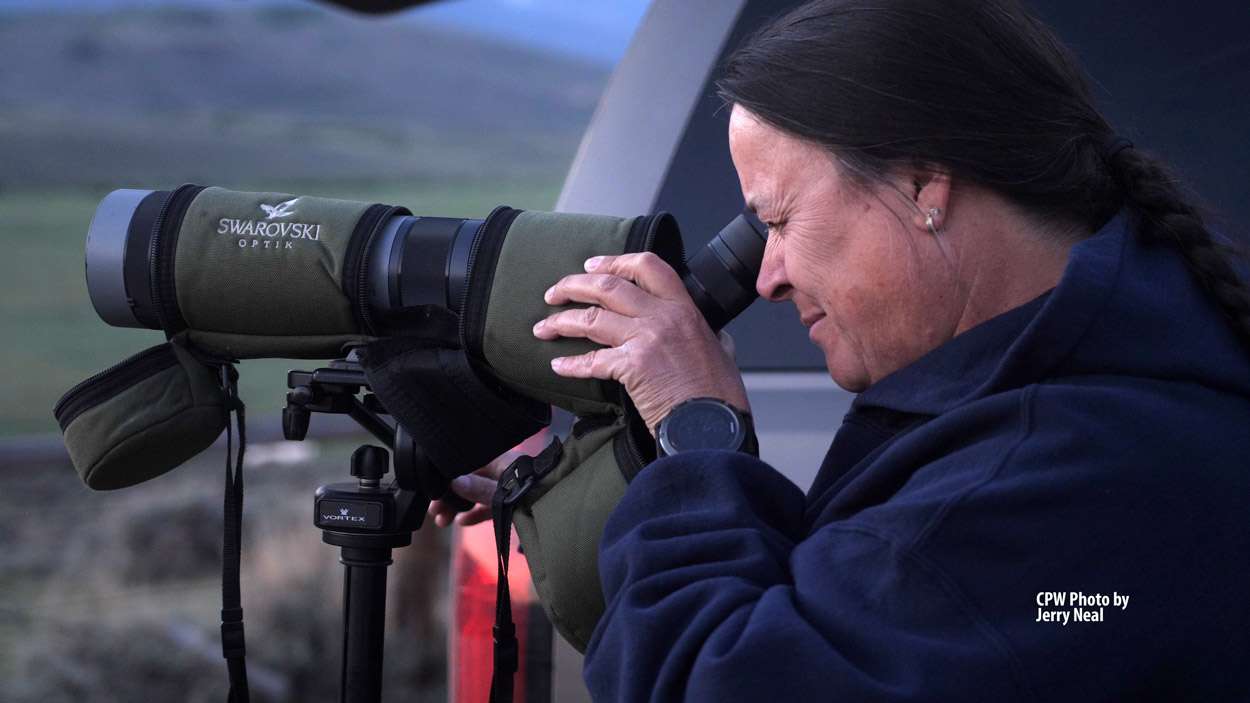 A woman with dark hair looks through a spotting scope