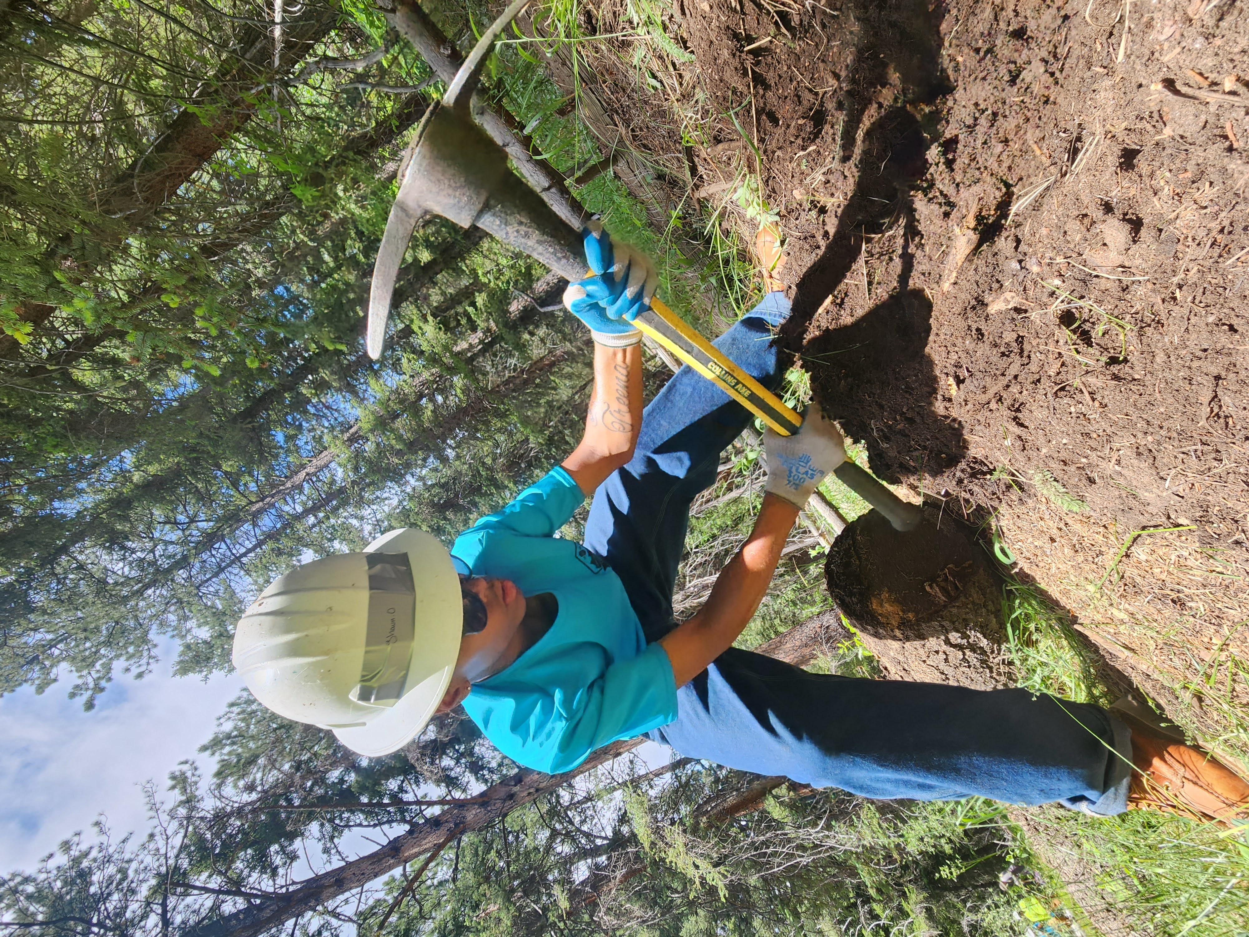 Crew Member using a pick mattock to preform trail work. 