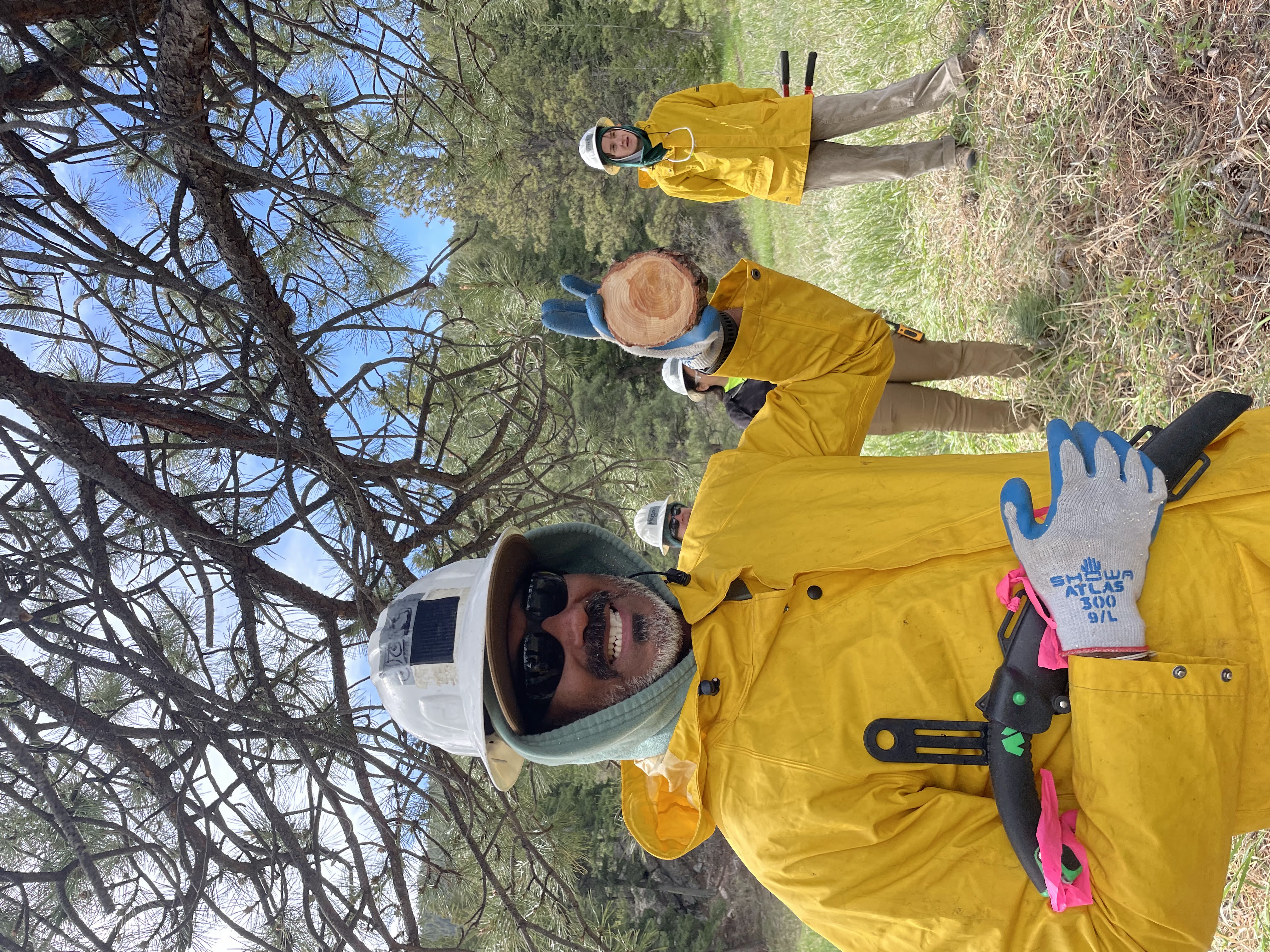 A crew leader in rain gear showing the camera a tree core and smiling 