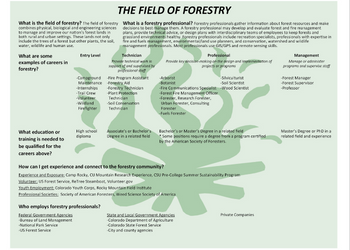 The Field of Forestry Fact Sheet