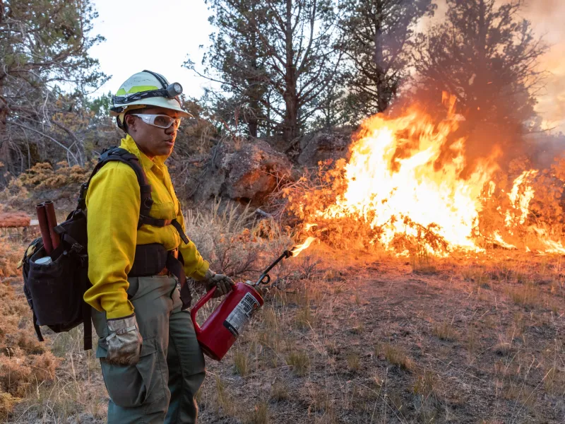 A wildland firefighter uses a drip torch 