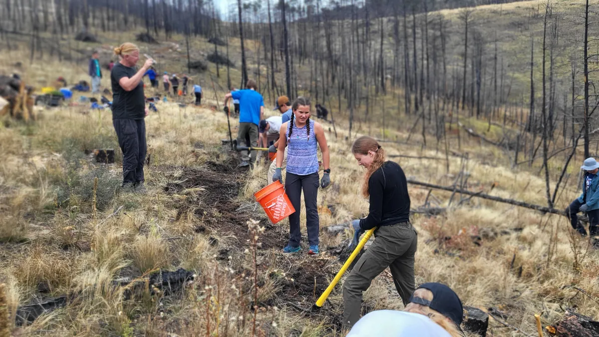 Stewardship project at the 2025 YES Conference