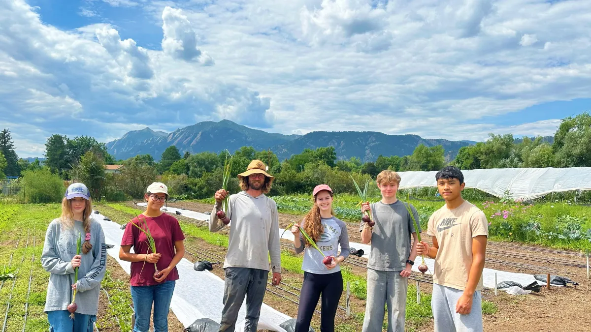 Youth Leaders working in the field!