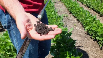 SoilScientist.jpg