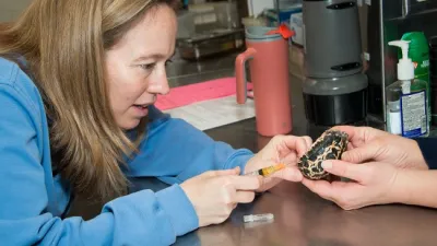animals_zoovet-BLS.jpg