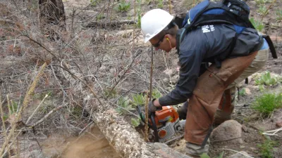 A conservation crew member removes a dead downed tree in the forest with a chainsaw