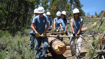 A group of trail crew technicians clears a large tree from the trail