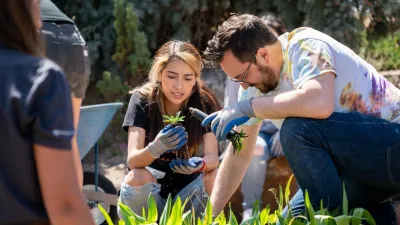two people examine plantings
