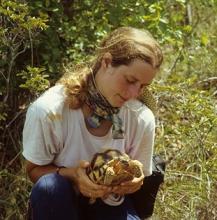 Ecologist Liz Howe in Madagascar, with an angonoka (or ploughshare) tortoise, Astrochelys yniphora.