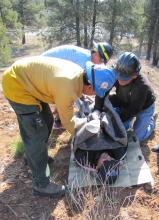 A group of wilderness first responders prepare to evacuate a injured hiker