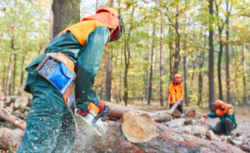 Logging professional