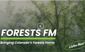 Forests FM Podcast