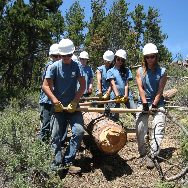 Several youth corps members work together to remove a large log from a trail