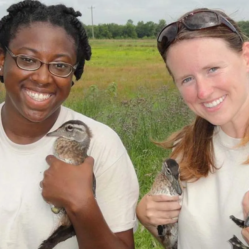 U.S. Fish and Wildlife Refuge Interns stand together each holding two baby ducks