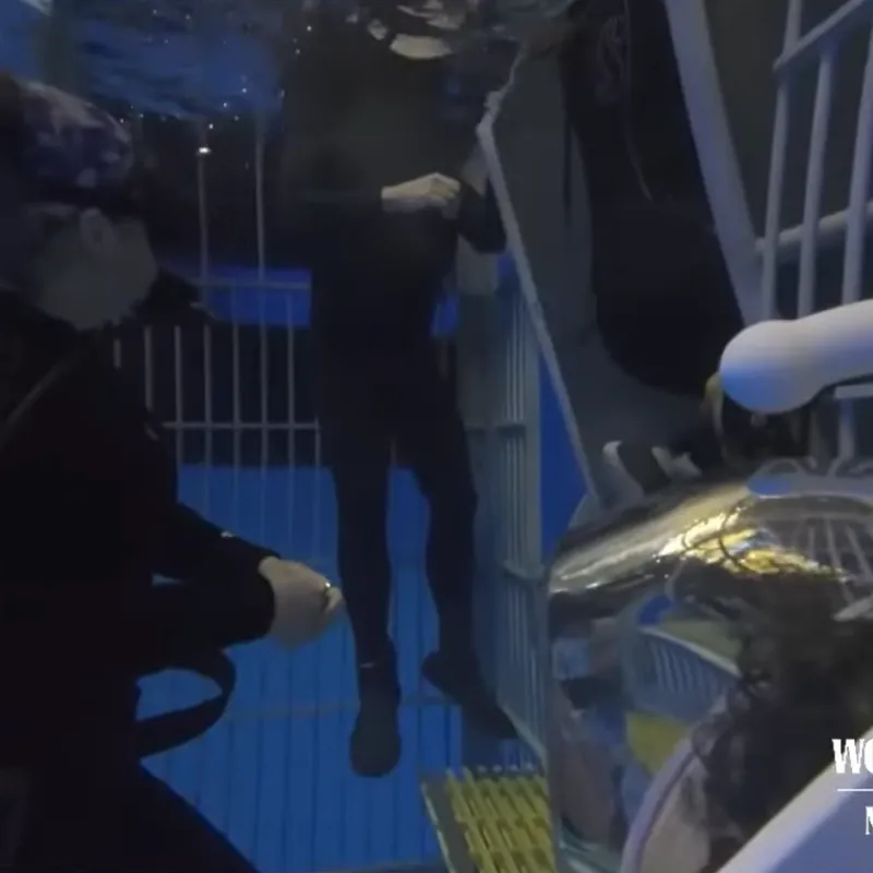 Aquarium Divers perform safety check before a dive at Wonders of Wildlife  in Springfield, Missouri